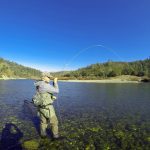 A Little More Information About Fishing in Colorado