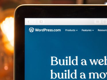WordPress LMS Themes