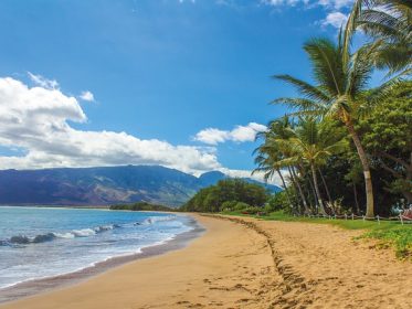 Things to Do in Hawaii