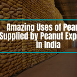 3 Amazing Uses of Peanuts Supplied by Peanut Exporters in India