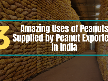 3 Amazing Uses of Peanuts Supplied by Peanut Exporters in India