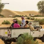 Desert safari experiences