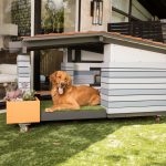 How to Prepare Your Home for a New Puppy
