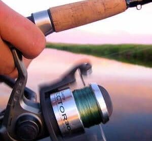8 Factors to Consider When Choosing a Fishing Reel